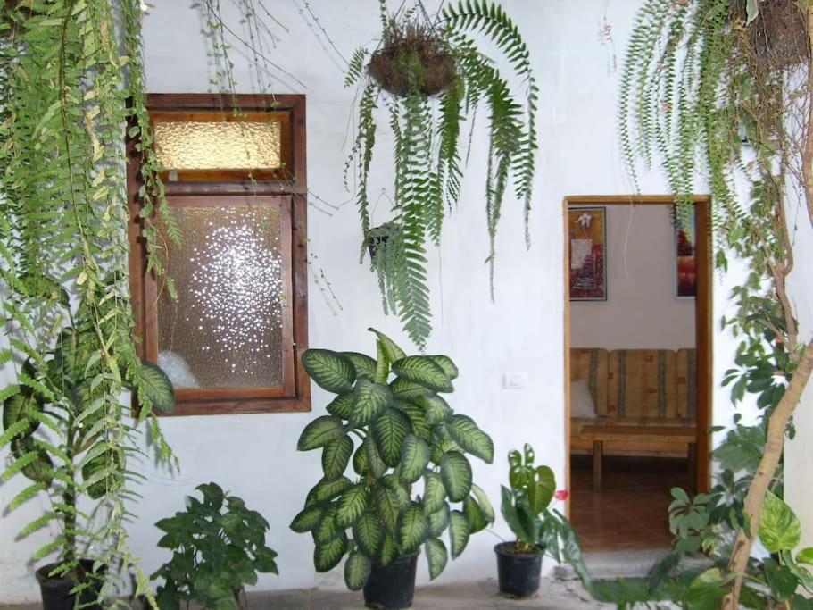 Preciosa Casa Emblematatica, Piscina,Wifi Villa Santa Catalina Kültér fotó
