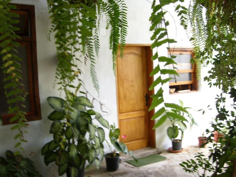 Preciosa Casa Emblematatica, Piscina,Wifi Villa Santa Catalina Kültér fotó